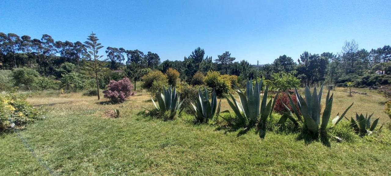 Monte Da Urze Aljezur - Agroturismo Bagian luar foto