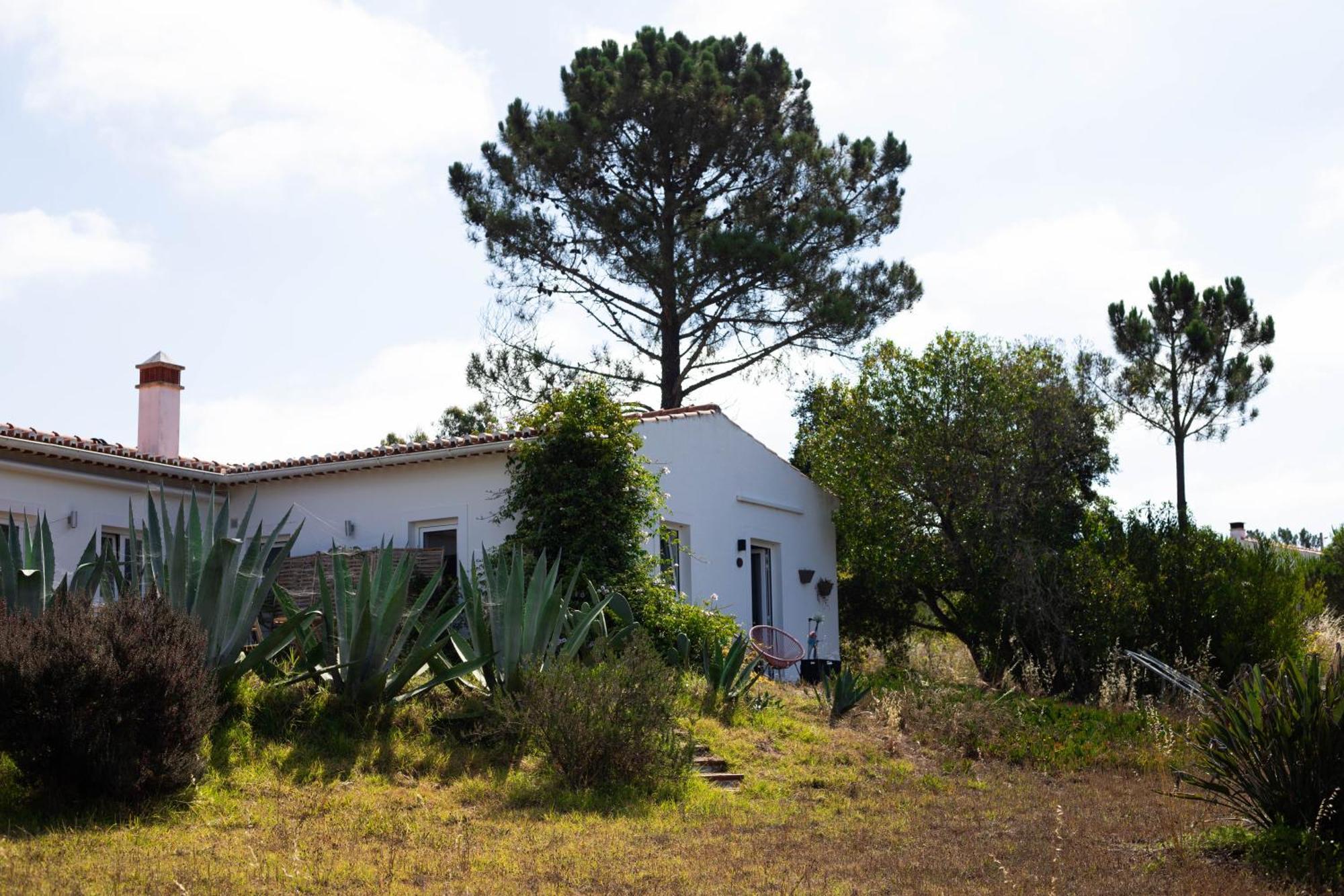 Monte Da Urze Aljezur - Agroturismo Bagian luar foto
